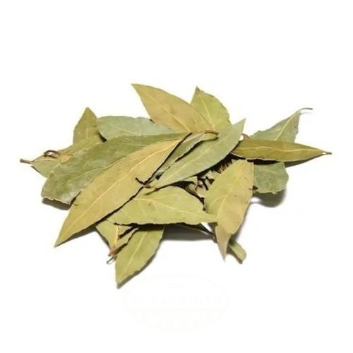 Laurel