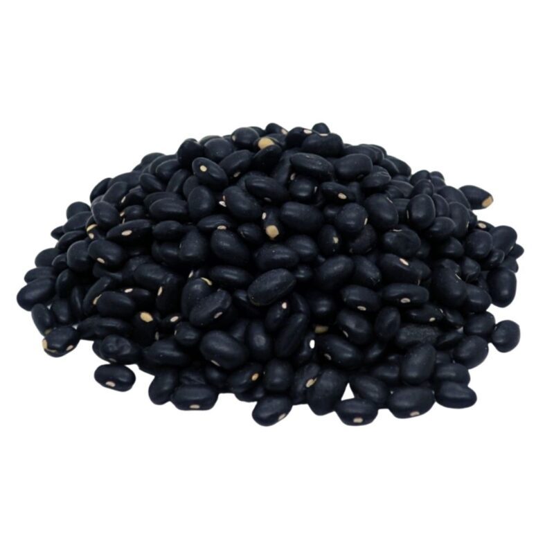 Poroto Negro